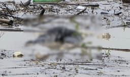 মহালছড়িতে অর্ধগলিত অজ্ঞাত লাশ উদ্ধার
