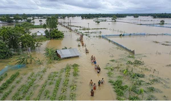 দেশে বন্যার আঘাতে চারশ কোটি টাকার মাছের ক্ষয়ক্ষতি