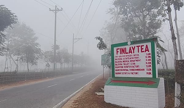 শীতে কাঁপছে চায়ের জনপদ, শ্রীমঙ্গলে তাপমাত্রা নামল ১১ ডিগ্রিতে