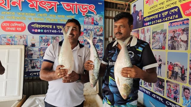 পদ্মার তিন ইলিশ বিক্রি হয়েছে ২৩ হাজার টাকায়