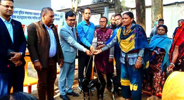 হিলিতে ক্ষুদ্র নৃগোষ্ঠীর মাঝে ছাগল ও উপকরণ বিতরণ