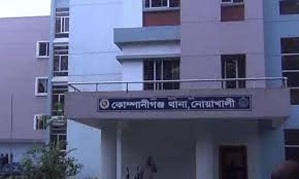 নোয়াখালীতে পুকুরে ডুবে আপন দুই ভাইয়ের মর্মান্তিক মৃত্যু