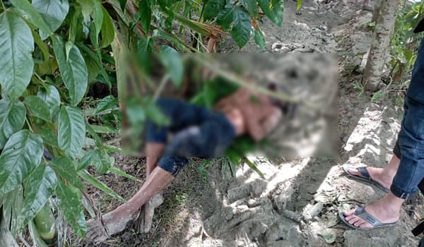 নলছিটিতে গাছের সঙ্গে কোমরের বেল্টে গলায় ফাঁস, যুবকের মরদেহ উদ্ধার