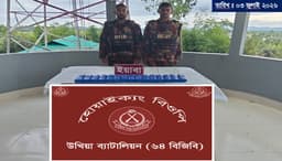 নাফ নদী সীমান্তে বিজিবির অভিযানে ৬০ হাজার ইয়াবা উদ্ধার