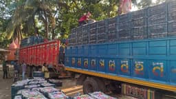 হিলি স্থলবন্দর দিয়ে ৩ বছর পর টমেটো আমদানি শুরু