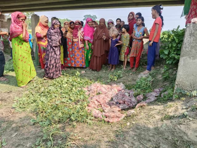 নওগাঁয় পরিত্যক্ত ৮৪ প্যাকেট মাংস উদ্ধার, এলাকাবাসী উদ্বিগ্ন