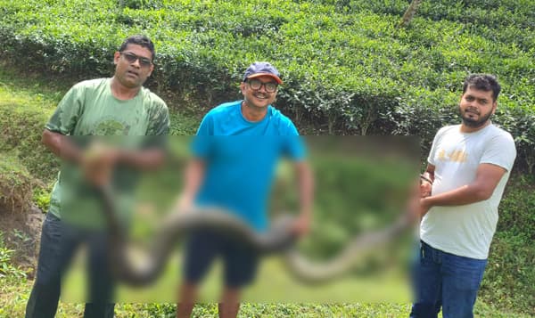 লোকালয়ে বন্যপ্রাণী, শ্রীমঙ্গলে এক বছরে উদ্ধার ৬৭ বন্যপ্রাণী 