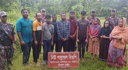 বড়লেখা সীমান্তে বিএসএফের পুশইন, আটক ১০ বাংলাদেশি