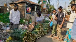 ঢলু বাঁশ সংকটে হারিয়ে যাচ্ছে সিলেট অঞ্চলের চুঙ্গাপোড়া পিঠার সংস্কৃতি