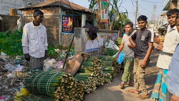 ঢলু বাঁশ সংকটে হারিয়ে যাচ্ছে সিলেট অঞ্চলের চুঙ্গাপোড়া পিঠার সংস্কৃতি