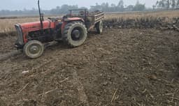 শ্রীমঙ্গলে কৃষি জমি থেকে মাটি কাটার অপরাধে জরিমানা ৫০ হাজার