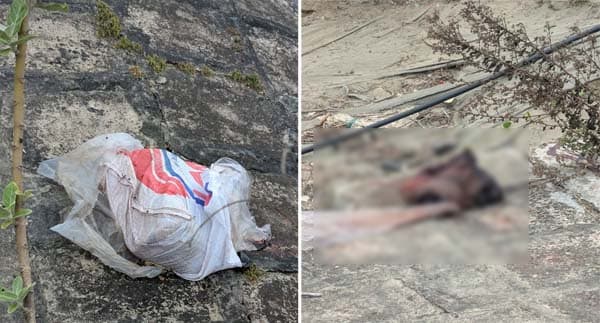 টেকনাফে ৬টি বস্তায় মিলল অজ্ঞাত ব্যক্তির খণ্ডিত মরদেহ