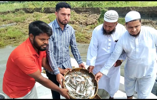 মেহেন্দিগঞ্জে পাইজাল ও পাঙ্গাশ পোনা জব্দ অভিযান  