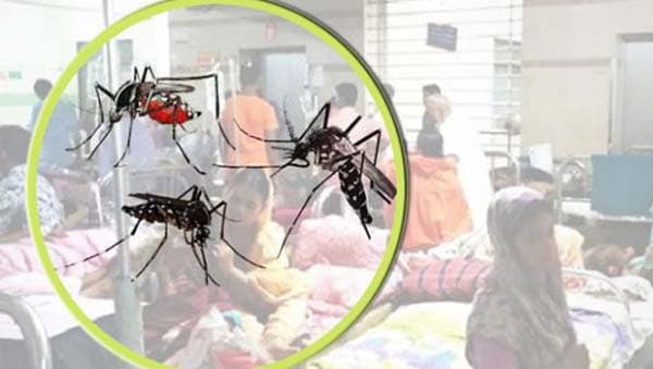 দেশে ডেঙ্গুর প্রকোপ অব্যাহত, চলতি বছরে মৃত্যু ৩৩১