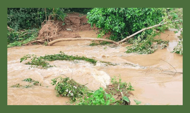 ফেনীতে তিন নদীর বাঁধ ভেঙে ত্রিশ গ্রাম প্লাবিত