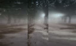 উলিপুরে তাপমাত্রা ১১.৪ ডিগ্রি, শীতে বিপর্যস্ত জনজীবন