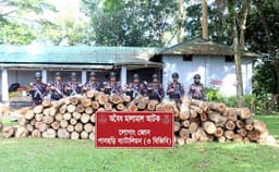 খাগড়াছড়িতে বিজিবি'র অভিযান: ৮০ ঘনফুট অবৈধ গোল কাঠ জব্দ