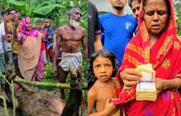 অসহায় কৃষক পরিবারের পাশে দাঁড়াল এনসিপি