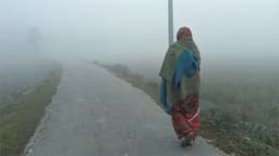 মাঝারি শৈত্যপ্রবাহে চুয়াডাঙ্গায় জনজীবন বিপর্যস্ত