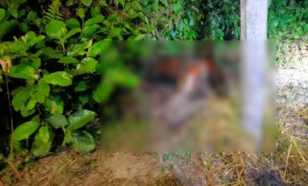 নোয়াখালীতে যুবককে পিটিয়ে পুড়িয়ে হত্যা, চাঞ্চল্য