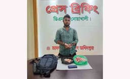 সুবর্ণচরে ৮ হাজার ইয়াবাসহ যুবক আটক