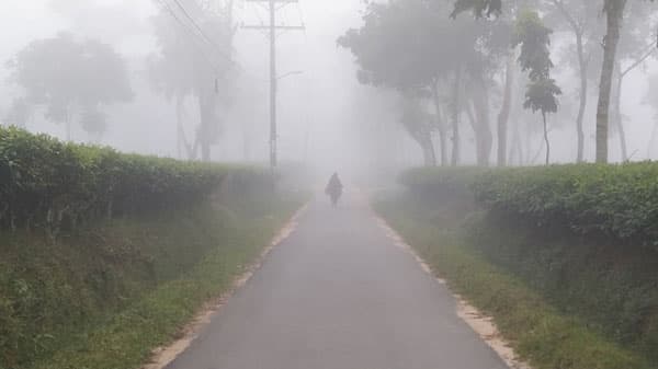 শ্রীমঙ্গলে দেশের সর্বনিম্ন তাপমাত্রা রেকর্ড: শীতের প্রভাব বাড়ছে