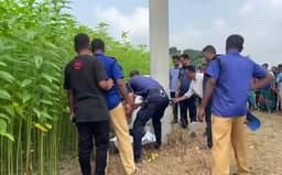 পাটক্ষেতে পড়ে ছিল জামায়াত কর্মীর দগ্ধ মরদেহ
