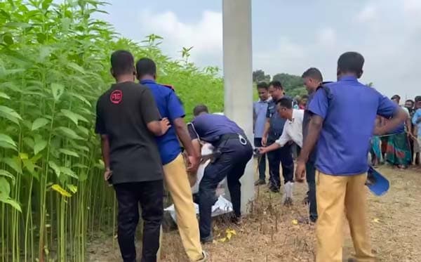 পাটক্ষেতে পড়ে ছিল জামায়াত কর্মীর দগ্ধ মরদেহ