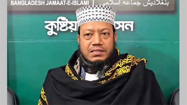 জ্বালানিমন্ত্রীকে নিয়ে মন্তব্যে হাইকোর্টে আগাম জামিন চাইলেন আমির হামজা