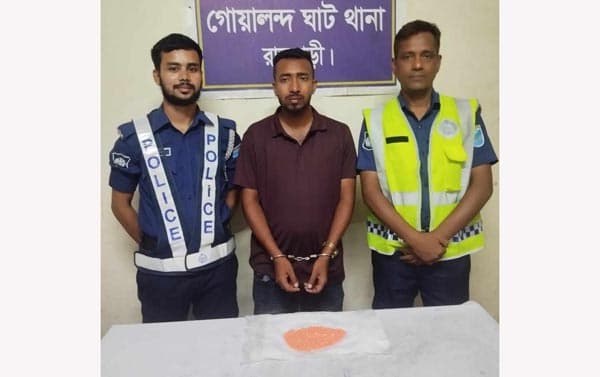 গোয়ালন্দে ৪৫০ পিস ইয়াবাসহ মাদক কারবারি গ্রেফতার