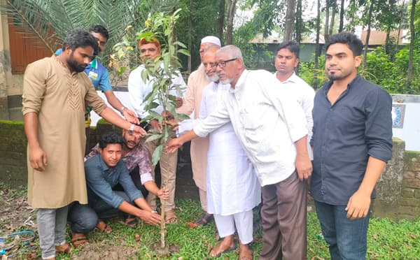 পরিবেশ দিবসে ভূরুঙ্গামারীতে বৃক্ষ রোপনের আহ্বান