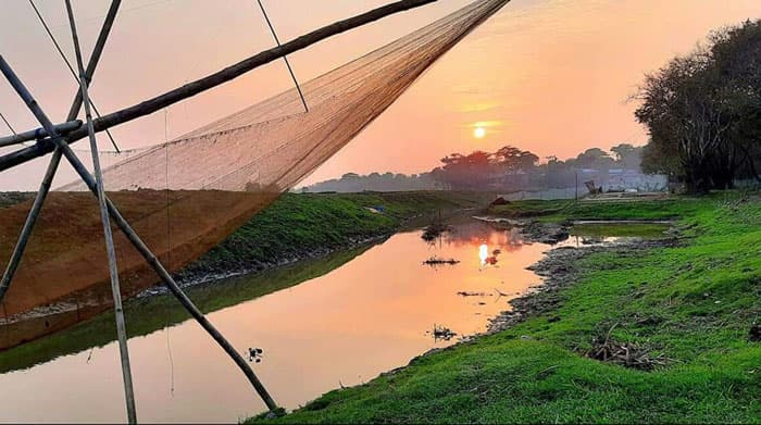 অতিথি পাখিদের স্বর্গভূমি ‘সোয়াম্প ভিলেজ’ বর্ষা-শীতের বৈচিত্র্যময় রূপ