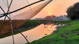 অতিথি পাখিদের স্বর্গভূমি ‘সোয়াম্প ভিলেজ’ বর্ষা-শীতের বৈচিত্র্যময় রূপ