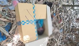 খাগড়াছড়িতে সেতুর পাশে কার্টুনে পড়েছিল শিশুর মরদেহ, চাঞ্চল্য 