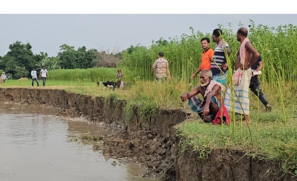 গোয়ালন্দে পদ্মার ভয়াবহ ভাঙন শুরু, কৃষিজমি বিলীন