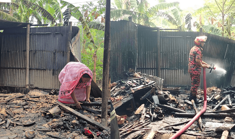 দৌলতদিয়ায় আগুনে পুড়ে ছাই দুই ঘর, নিঃস্ব হাসির পরিবার