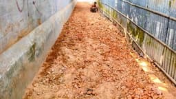 নির্বাচনী প্রতিশ্রুতি রক্ষায় নিজ অর্থে সড়ক মেরামত করলেন এমপি