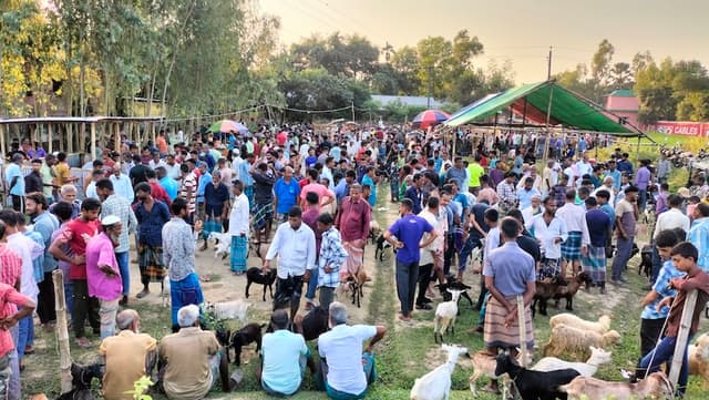 শ্রীমঙ্গলের ভৈরব বাজারে প্রাণীর মেলা, শতবর্ষের ঐতিহ্য জিইয়ে রাখছে গ্রামীণ হাট