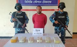 টেকনাফে ৬০ হাজার ইয়াবাসহ মাদক পাচারকারী আটক 