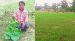 জয়পুরহাটে দরিদ্র কৃষকের ৪৫০ লাউ গাছ উধাও