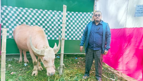 ছোট খামার থেকে বড় স্বপ্ন— কমলগঞ্জের মুঈদের কৃষি বিপ্লব