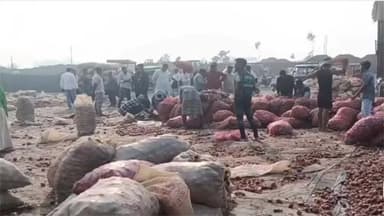 ভারতীয় রপ্তানিকারকদের ৩০ হাজার টন পেঁয়াজ পচে নষ্ট