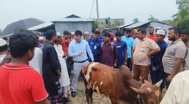 কলাপাড়ায় অবৈধ পশুর হাট বন্ধের নির্দেশ