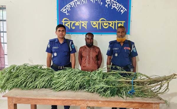 গাঁজার গাছের ছায়ায় নুরুলের ফাঁদ, গ্রেপ্তার
