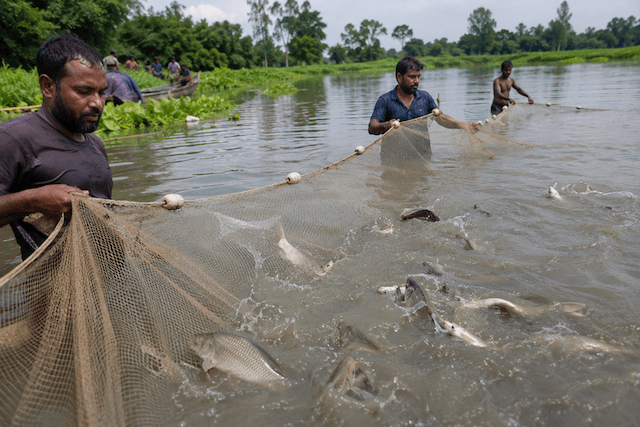 নিষিদ্ধ চায়না দুয়ারী জালে কমছে দেশীয় মাছ