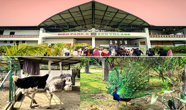 প্রকৃতি আর পাখির অনন্য স্বর্গরাজ্য মৌলভীবাজারের ‘বার্ড পার্ক’