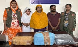 ঝালকাঠিতে ডিবির অভিযানে ৮ কেজি গাঁজাসহ তিনজন গ্রেফতার