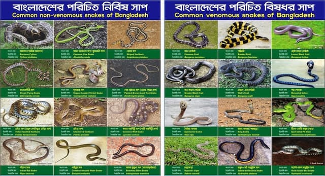 রাজশাহীতে সর্প দংশন সচেতনতা ও উদ্ধার প্রশিক্ষণ কর্মশালা অনুষ্ঠিত