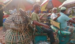 বৃষ্টি নেই, তাপদাহে নাকাল সরাইলের মানুষ
