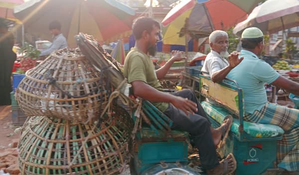 বৃষ্টি নেই, তাপদাহে নাকাল সরাইলের মানুষ